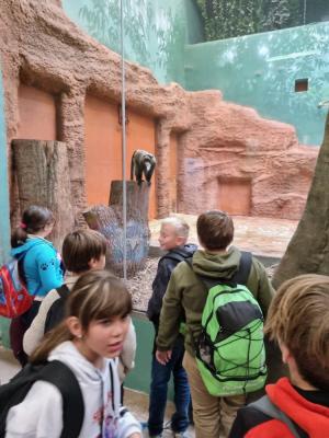 4. třída - Exkurze ZOO Praha 1